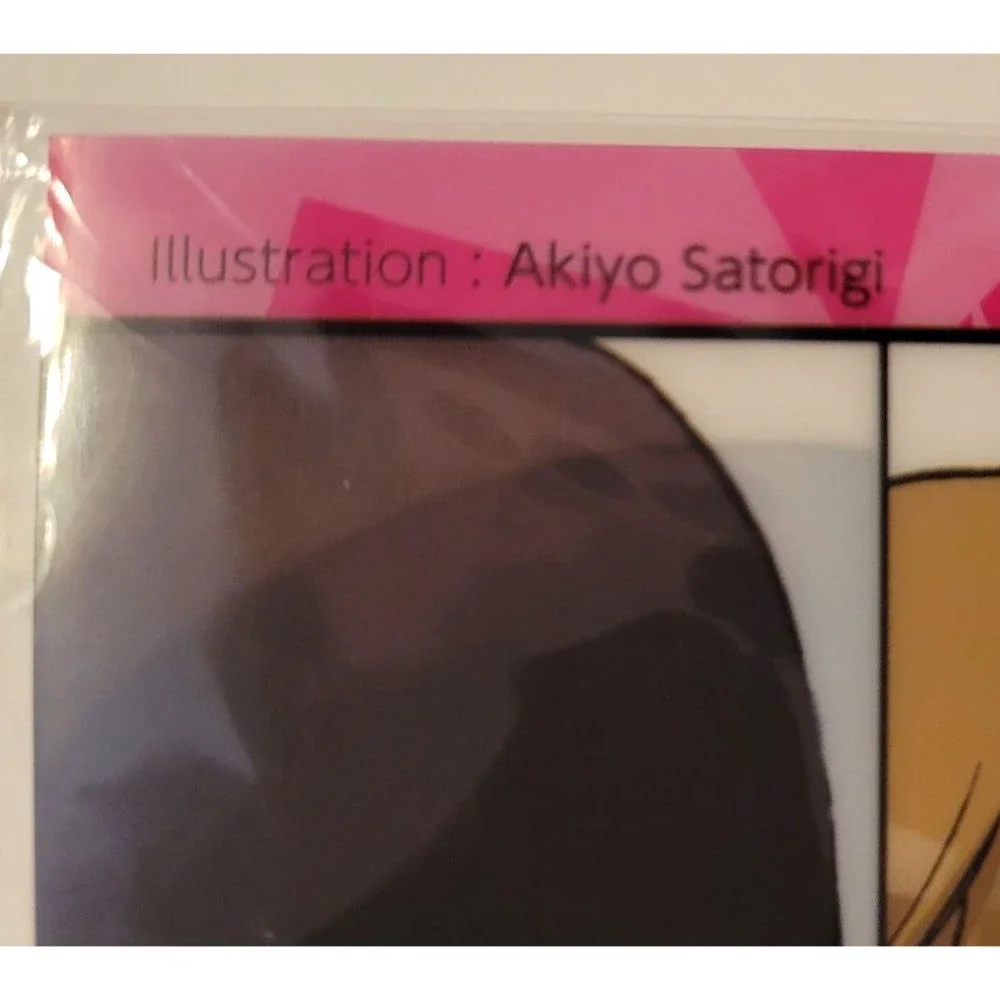 Durarara!! 2010 Akiyo Satorigi Clear File Square Enix 10